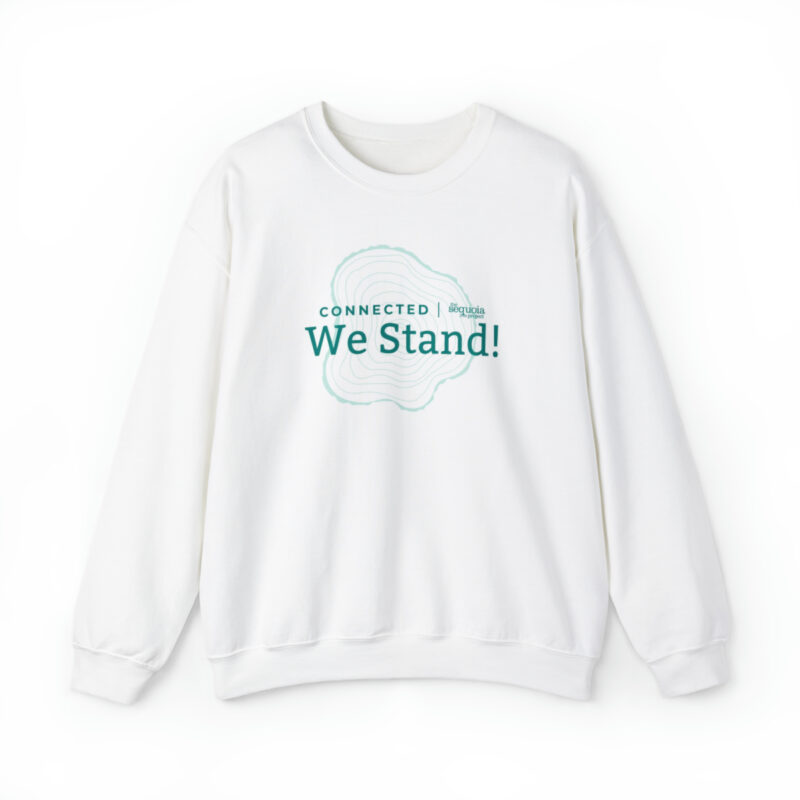 Connected We Stand - Unisex Heavy Blend™ Crewneck Sweatshirt - Image 2