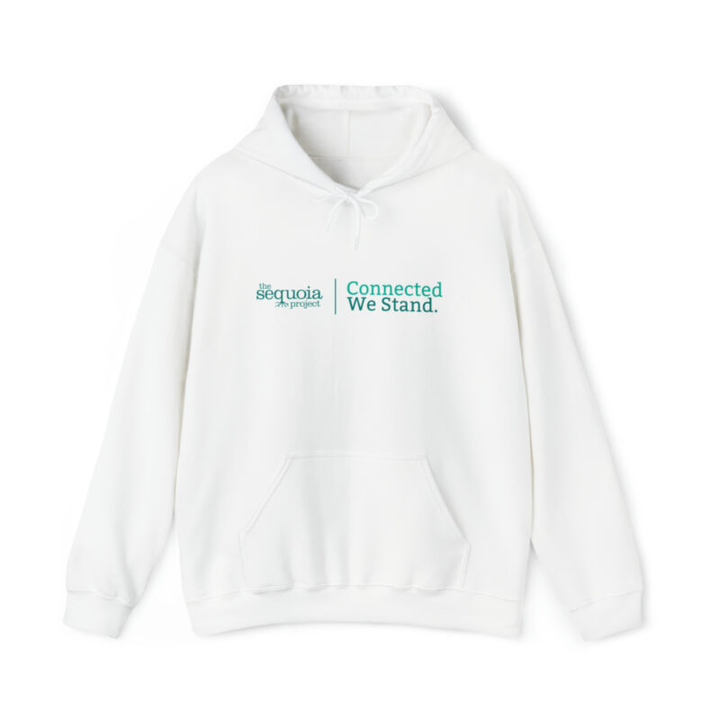 Connected We Stand - Unisex Heavy Blend™ Hooded Sweatshirt - Image 2