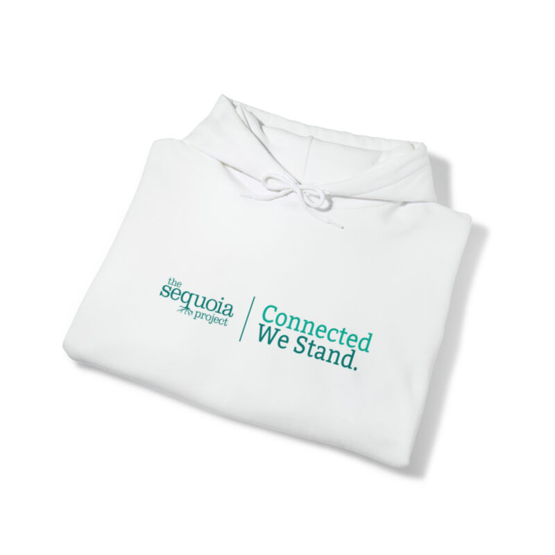 Connected We Stand - Unisex Heavy Blend™ Hooded Sweatshirt - Image 5