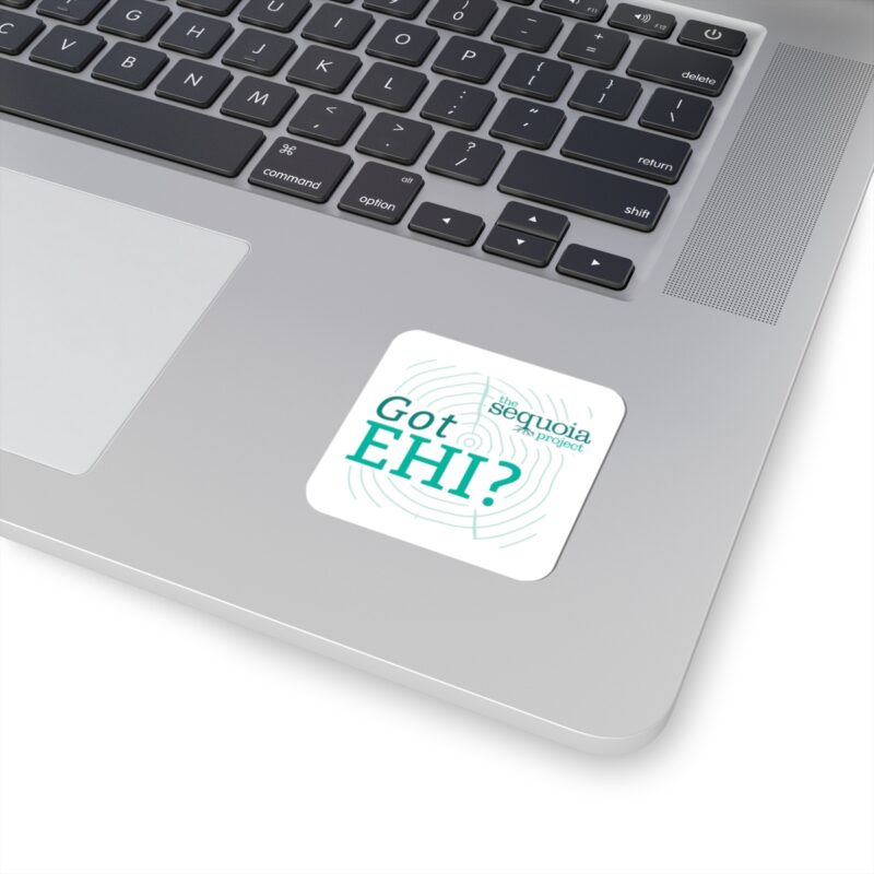 Got EHI? - Sticker - Image 2