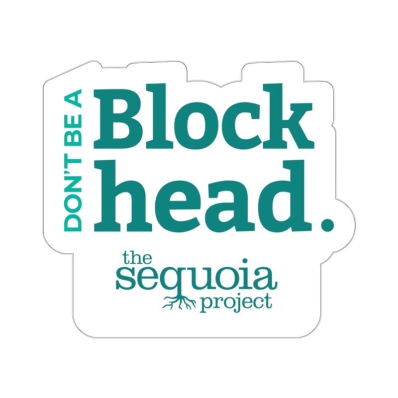 Don't Be A Blockhead - Sticker