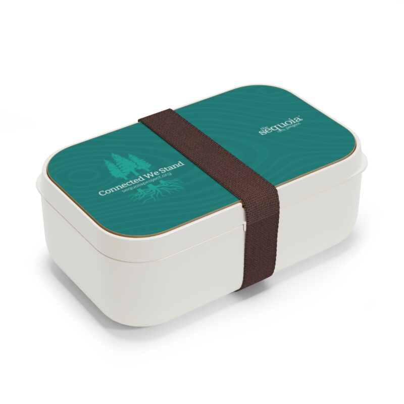 Connected We Stand Turquoise Wood Grain - Bento Lunch Box