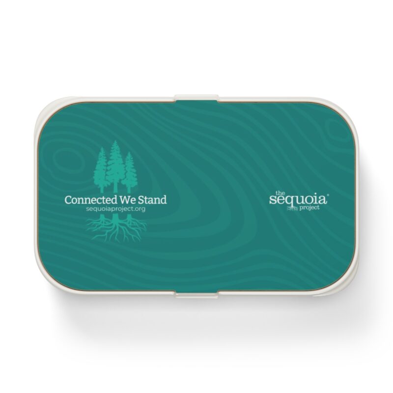 Connected We Stand Turquoise Wood Grain - Bento Lunch Box - Image 2