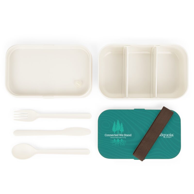 Connected We Stand Turquoise Wood Grain - Bento Lunch Box - Image 3