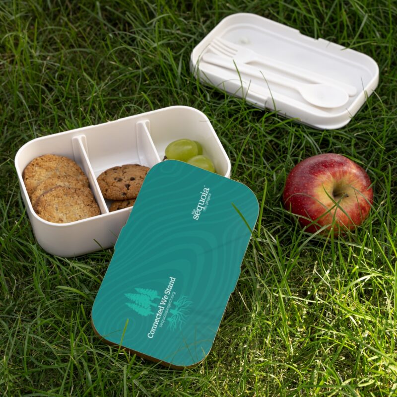 Connected We Stand Turquoise Wood Grain - Bento Lunch Box - Image 5