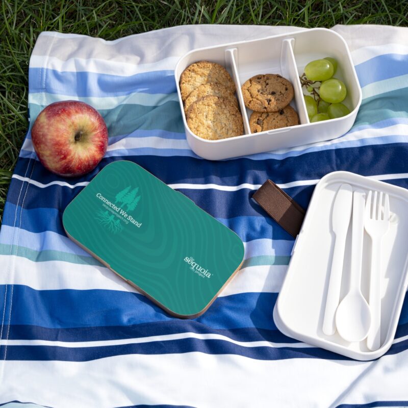 Connected We Stand Turquoise Wood Grain - Bento Lunch Box - Image 6