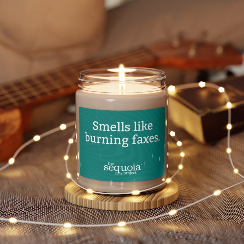 Burning Faxes - Scented Soy Candle, 9oz - Image 8