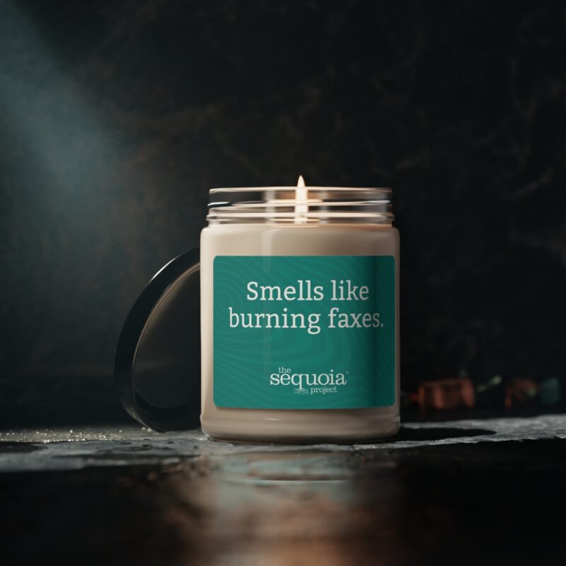 Burning Faxes - Scented Soy Candle, 9oz - Image 10