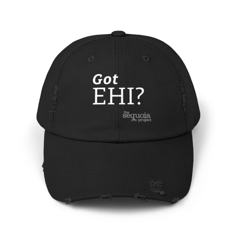 Got EHI? - Unisex Distressed Cap (Multiple Colors) - Image 5
