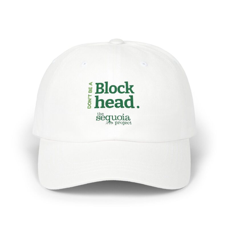 Don't Be a Blockhead - Classic Dad Cap (White)