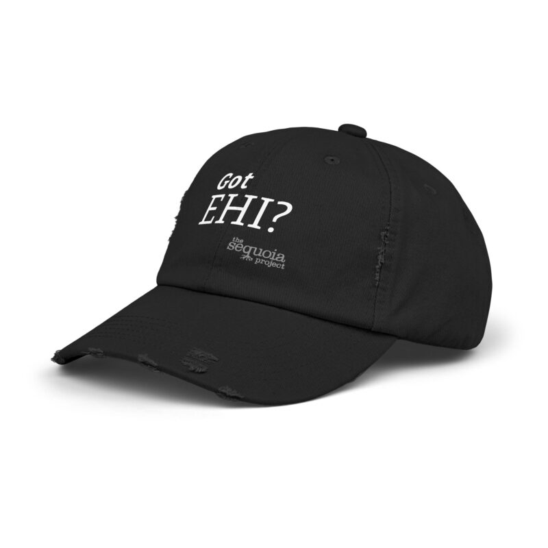 Got EHI? - Unisex Distressed Cap (Multiple Colors) - Image 6