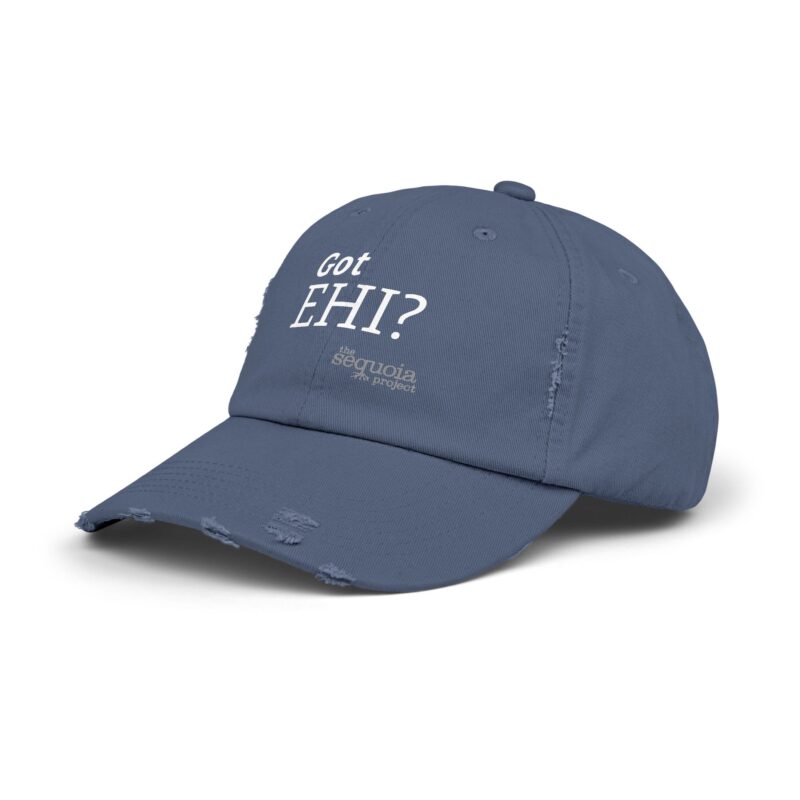 Got EHI? - Unisex Distressed Cap (Multiple Colors) - Image 2