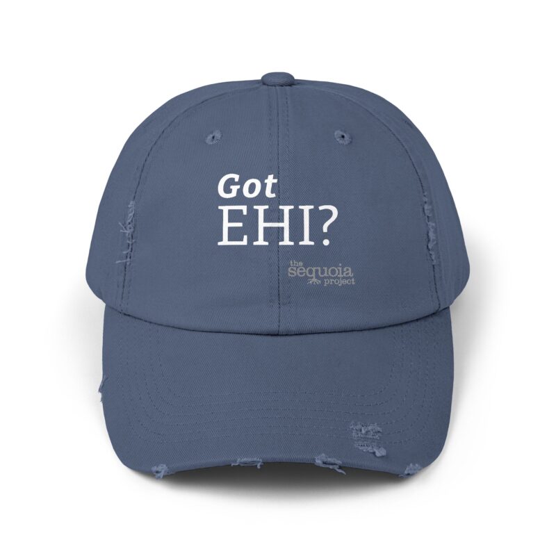 Got EHI? - Unisex Distressed Cap (Multiple Colors)