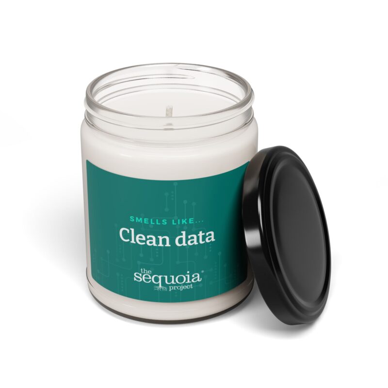 Clean Data – Scented Soy Candle, 9oz - Image 2
