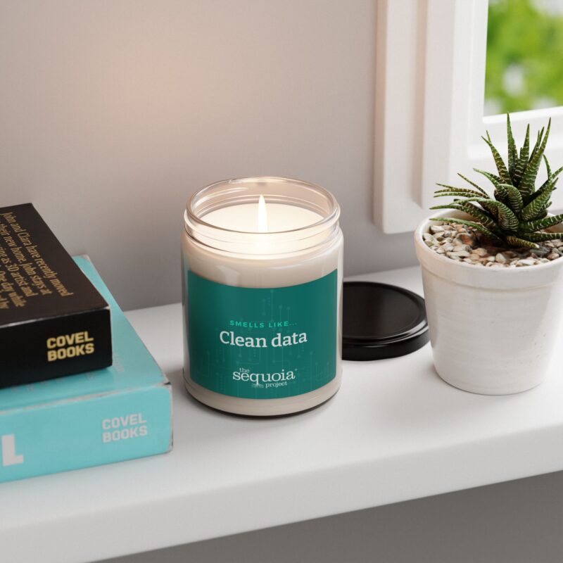 Clean Data – Scented Soy Candle, 9oz - Image 9