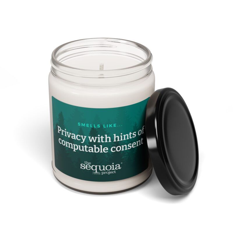 Computable Consent – Scented Soy Candle, 9oz - Image 7