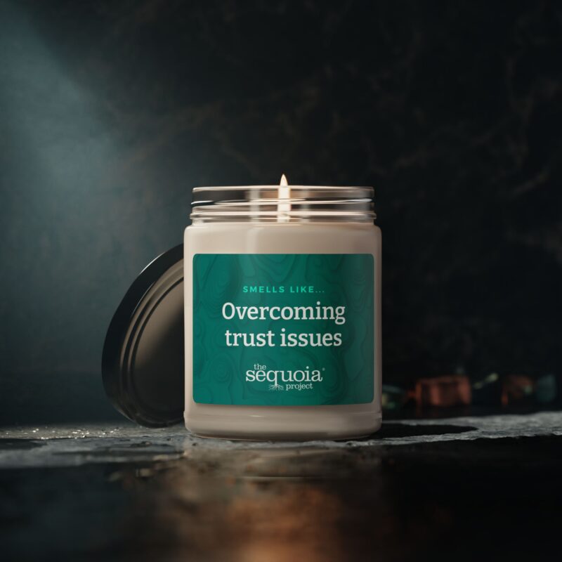 Overcoming Trust Issues – Scented Soy Candle, 9oz - Image 10