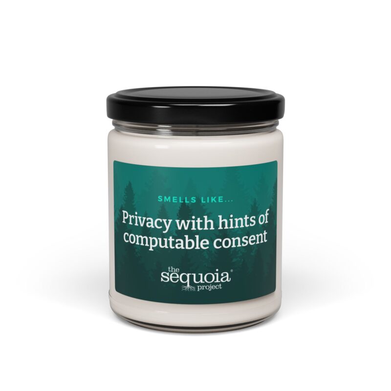 Computable Consent – Scented Soy Candle, 9oz