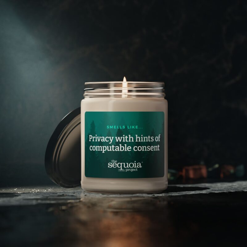 Computable Consent – Scented Soy Candle, 9oz - Image 5