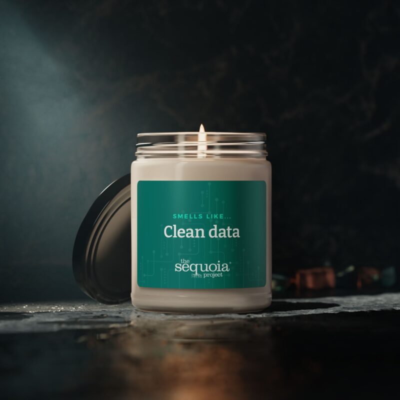 Clean Data – Scented Soy Candle, 9oz - Image 5
