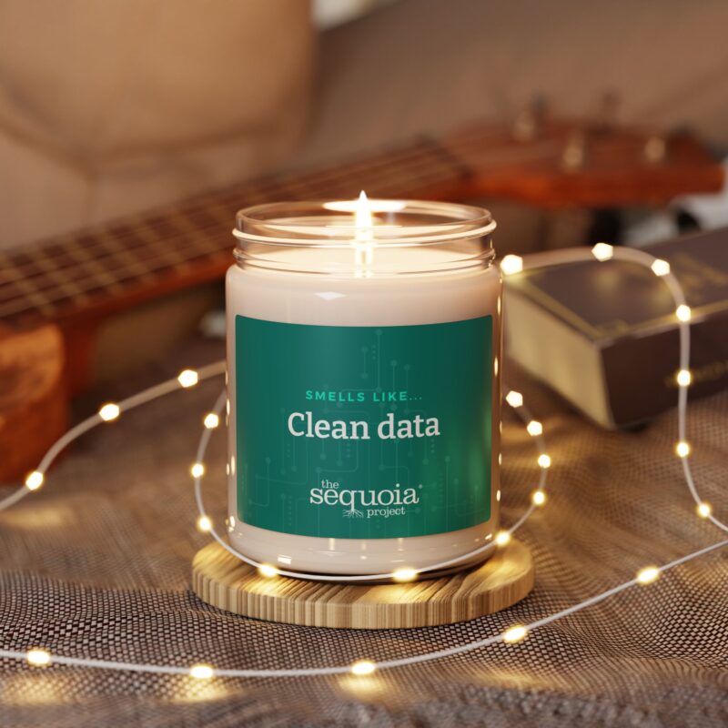 Clean Data – Scented Soy Candle, 9oz - Image 8