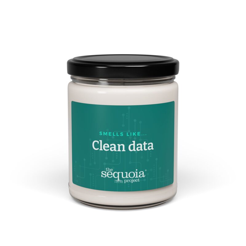 Clean Data – Scented Soy Candle, 9oz