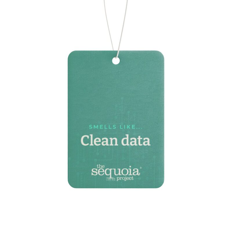 Clean Data- Air Freshener - Image 3