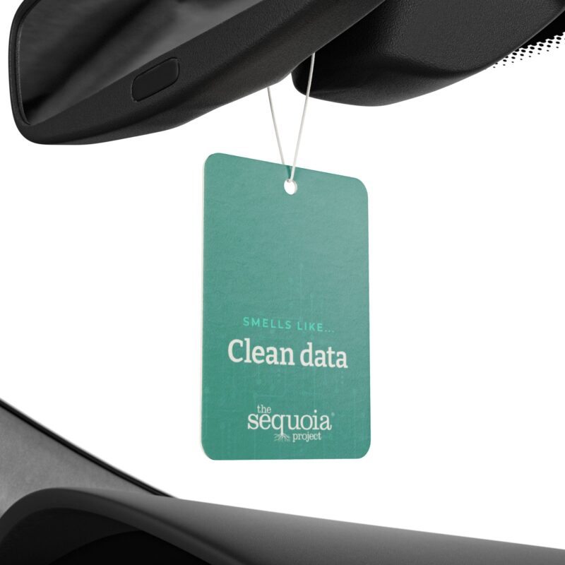 Clean Data- Air Freshener - Image 4