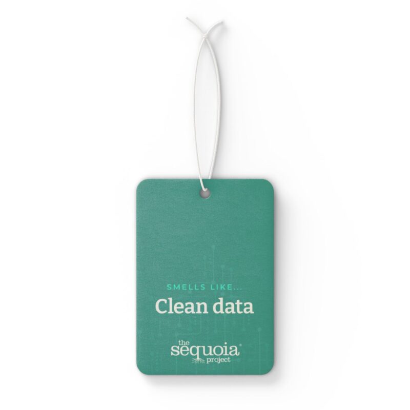 Clean Data- Air Freshener - Image 2